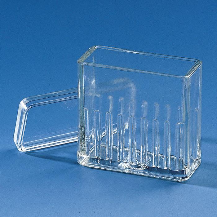 Bac à coloration, Hellendahl, avec couvercle, verre de chimie Bac à coloration, Hellendahl, avec couvercle, verre de chimie