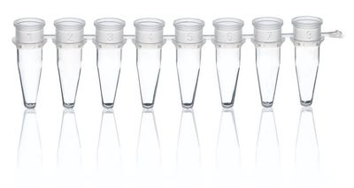PCR-Strips, PP, BIO-CERT® PCR QUALITY
