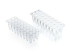 PCR-Platte 24-well, PP, 0,2 ml, BIO-CERT® PCR QUALITY, ohne Rahmen