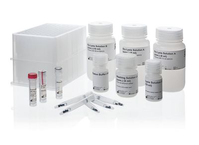 SmartExtraction LHS-Kit, DNA-Extraktionskit